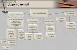 Goals of the organization (enterprise, company) Goal setting system tree